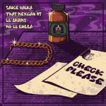 Check Please Lyrics  That Mexican OT