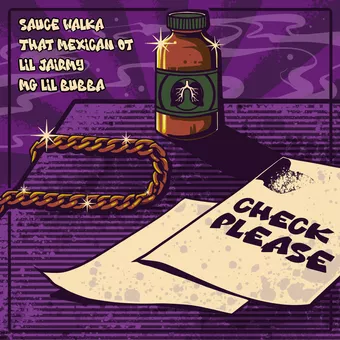 Check Please Lyrics  That Mexican OT