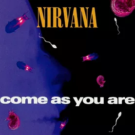 Come as You Are Lyrics  Nirvana