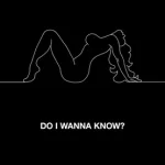 Do I Wanna Know? Lyrics  Arctic Monkeys
