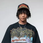 FULANA Lyrics (English Translation)  El Alfa, Luis Brown