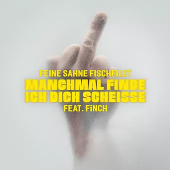 Manchmal finde ich dich scheisse Lyrics  Feine Sahne Fischfilet