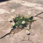 Mighty Name of Jesus (Live) Lyrics  The Belonging Co & Hope Darst