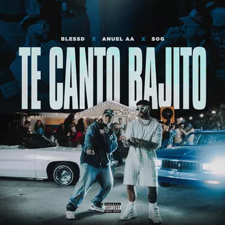 TE CANTO BAJITO Lyrics  Blessd, Anuel AA
