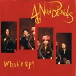 What’s Up? Lyrics  4 Non Blondes